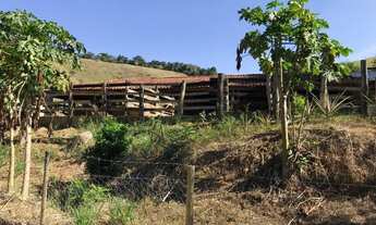 Imagem 5: Fazenda com 31 hectares em Rio Casca