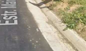 Imagem 7: Terreno mairinque