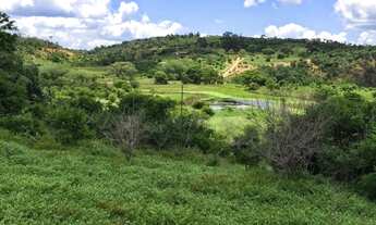 Imagem: FAZENDA RURAL em IBIQUERA - BA, CHAPADA