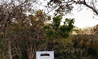 Imagem: Área á venda na beira do asfalto em Chapada