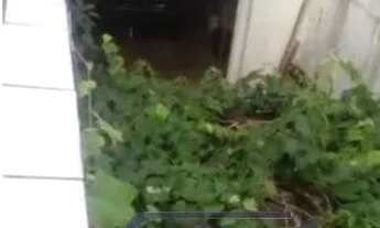 Imagem 3: Casa para Venda - 150m², 2 dormitórios, 1 vaga - Nonoai