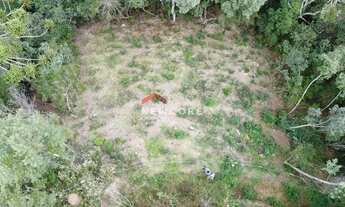 Imagem 4: Lote em Olavo J - Vale Encantado - Campos do Jordão/SP