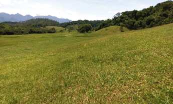 Imagem 2: Fazenda de 27 hectares com topografia excelente 100% em pasto