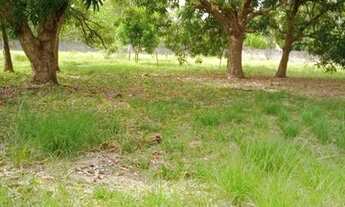 Imagem 6: Sítio, Pindaí Paço Lumiar