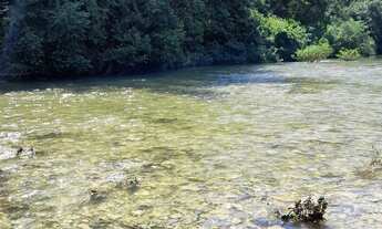 Imagem 5: Assentamento Canaã salobra