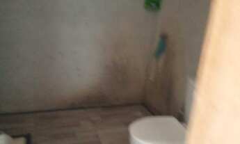 Imagem 5: Chacará formada com 32.000 m²- Areia Branca/ Mandirituba