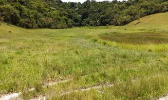 Imagem 3: Fazenda de 27 hectares com topografia excelente 100% em pasto