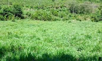 Imagem 2: Assentamento Canaã salobra