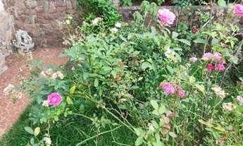 Imagem 2: Casa Sobrado em Ipiranga - São Paulo