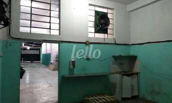 Imagem 7: São Paulo - Galpão/Depósito/Armazém - Brás