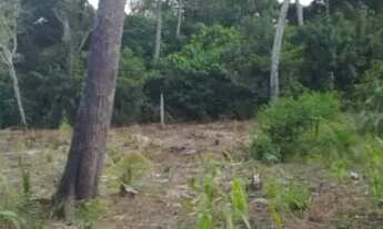 Imagem: Terreno no Santa Maria