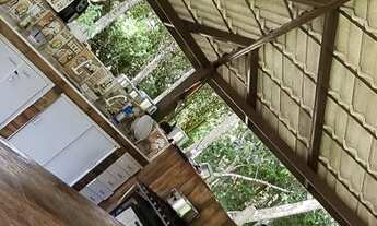 Imagem 5: Chácara aluguel