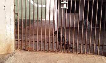 Imagem 6: Vendo excelente terreno