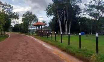 Imagem 7: Sítio top na Am010, Rio Preto da Eva com 500.000m2 valor R$ 900mil