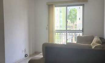 Imagem 4: SãO BERNARDO DO CAMPO - Padrão - Assunção