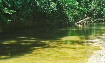 Imagem 2: Chácara aluguel