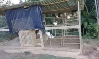 Imagem 5: Casa para venda possui 10500 metros quadrados com 3 quartos em Zona Rural - Itariri - SP