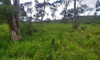 Imagem 3: Fazenda Sitio Chacara Roça Terra Gado Em tocantins Porto Nacional