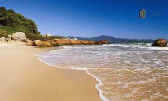 Imagem 3: Excelente Loja comercial com 60,46 m² - Jurerê - Florianópolis/SC