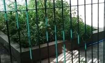 Imagem 2: Casa para alugar no Jaguaré, São Paulo