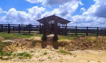 Imagem 3: 35alqueires com 28 alqueires de pasto prontos no Pará R$ 1.6 milhões