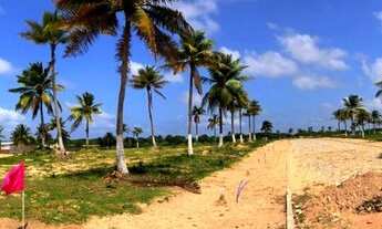 Imagem 3: RECANTO DOS PÁSSAROS LOTEAMENTO NO TRAIRI, CEARÁ