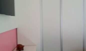 Imagem 6: Casa para Vende Casa com 3 dormitórios