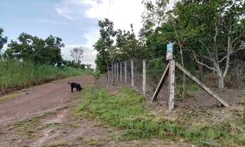 Imagem 2: Chácara Chácara com venda por R$280.000