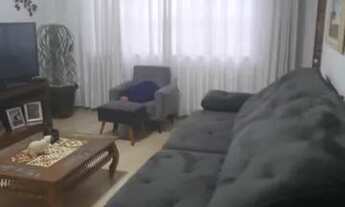 Imagem 3: São Paulo - Casa Padrão - São Lucas