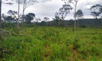 Imagem 4: Fazenda Sitio Roça Chacara Alqueire Venda Tocantins Setor Região Cidade