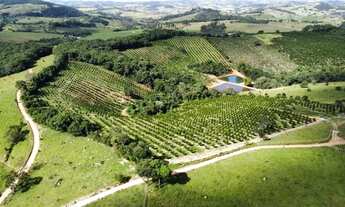 Imagem 2: Terreno de 14 hectares com muita água e duas lindas lagoas!!
