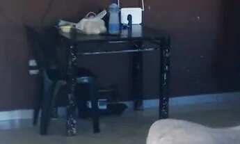 Imagem 2: Casa 4 quartos Unamar