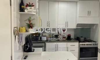 Imagem 7: Ilha do Frade, Cambuí - Campinas - SP