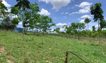 Imagem 6: Fazenda 47ha, 2 casas sede/caseiro plantação de mogno,manga palmer, nascente e córrego