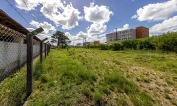 Imagem 3: Terreno para aluguel Pelotas