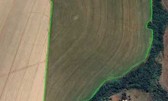 Imagem 2: Fazenda 19,5 Alqueires Mineiro municipio do Prata - MG