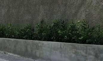 Imagem: Casa em Caruaru terreno