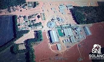Imagem 2: FAZENDA COM FABRICA DE ÓLEOS VEGETAIS EM NOVA MUTU/ MT