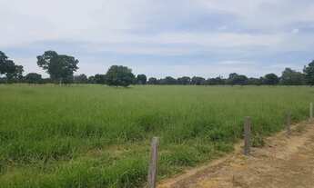 Imagem 3: Excelente Fazenda de 1.500 Hectares em Montes Claros Minas Gerais