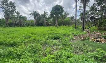 Imagem 6: 3 terrenos juntos , totalizando 36x30 Apenas 45 mil