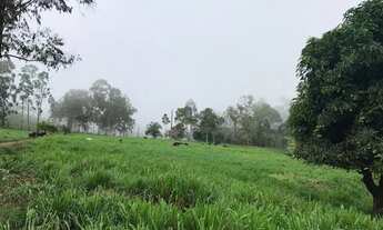 Imagem 2: Venda-se está Fazenda de 91 alqueires em Ipanema /MG