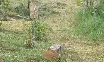 Imagem 5: TERRENO DE 24.000M2 POR 2.400.000R