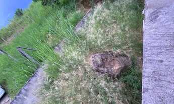 Imagem 2: Vendo terreno 4x8