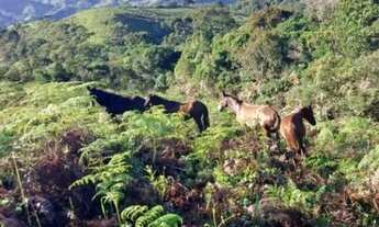 Imagem 7: Terreno à venda- ESTRADA CUNHA X PARATY - Cunha/SP