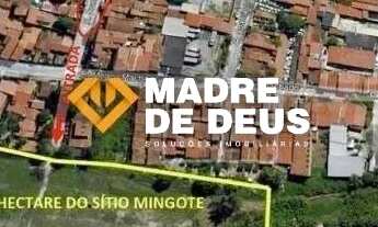 Imagem 4: Terreno Gigante de 10.000m² na Vila União - Localização Estratégica e Potencial para Grand