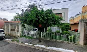 Imagem: Terreno na Vila Carrão