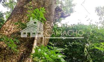 Imagem 6: Sítio para venda em Vargem Grande