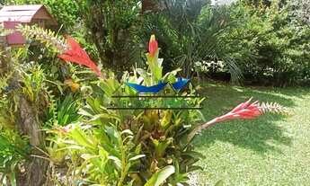 Imagem 4: Velleda oferece espetacular sítio em águas claras, condomínio fechado, oportunidade!