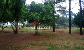 Imagem 6: Sítio em Boa Esperança do Sul - Centro - Boa Esperança do Sul/SP