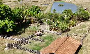 Imagem 2: Professor Jamil - Chácara de 7 Alqueires codigo: 161697